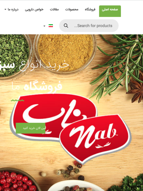 طراحی سایت فردوس ناب